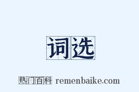 词选是什么意思的图片